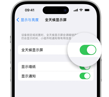 资阳苹果15预约维修分享iPhone15如何设置全天候显示屏幕可见 