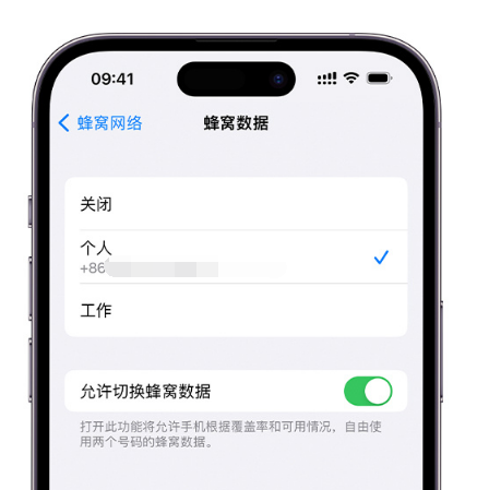 资阳苹果维修服务分享如何在iPhone上使用双卡 